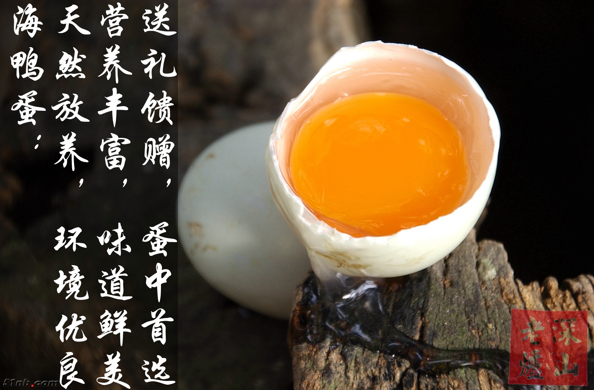 DSC_0176_副本_副本.jpg