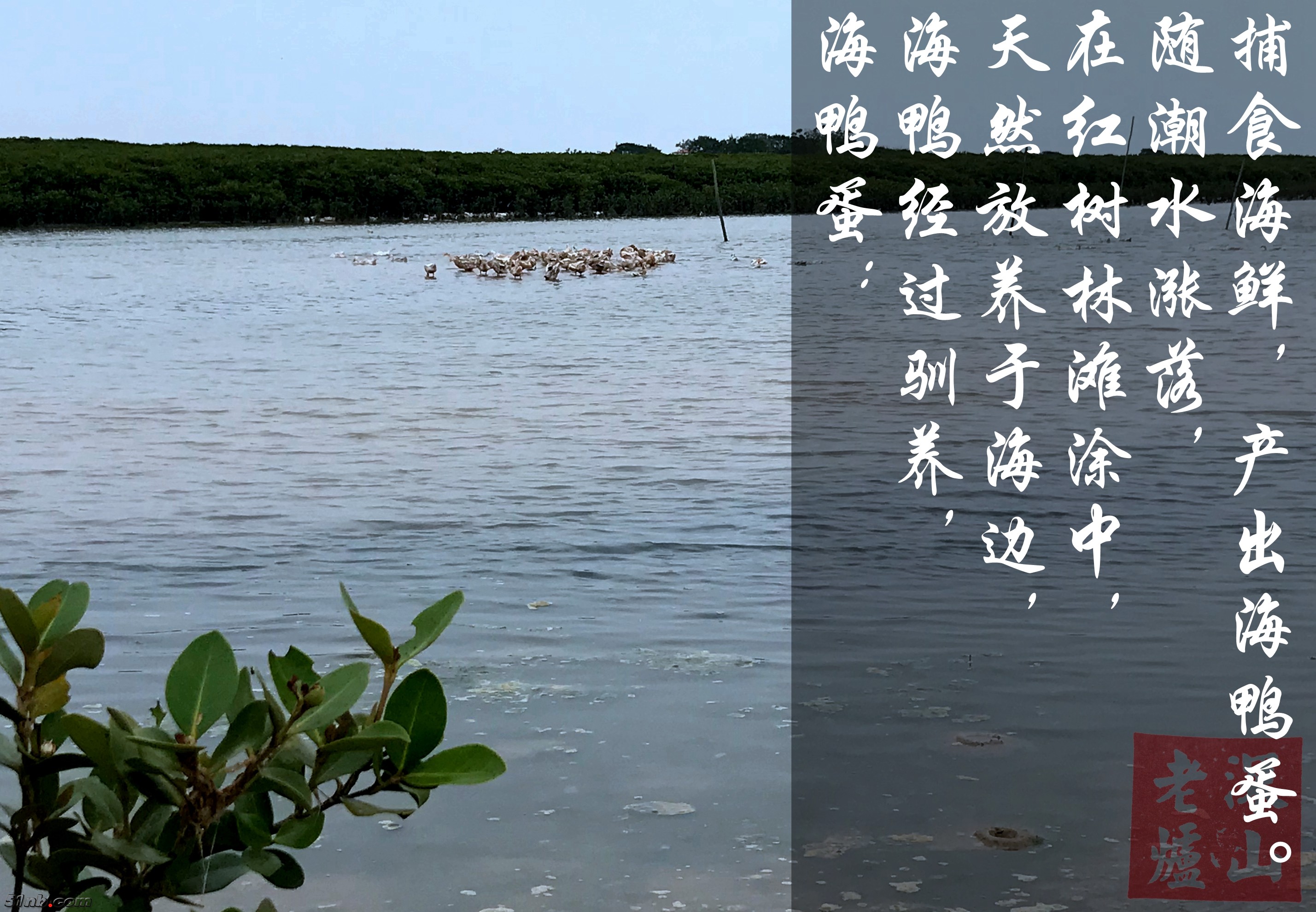 IMG_2940_副本_副本.jpg