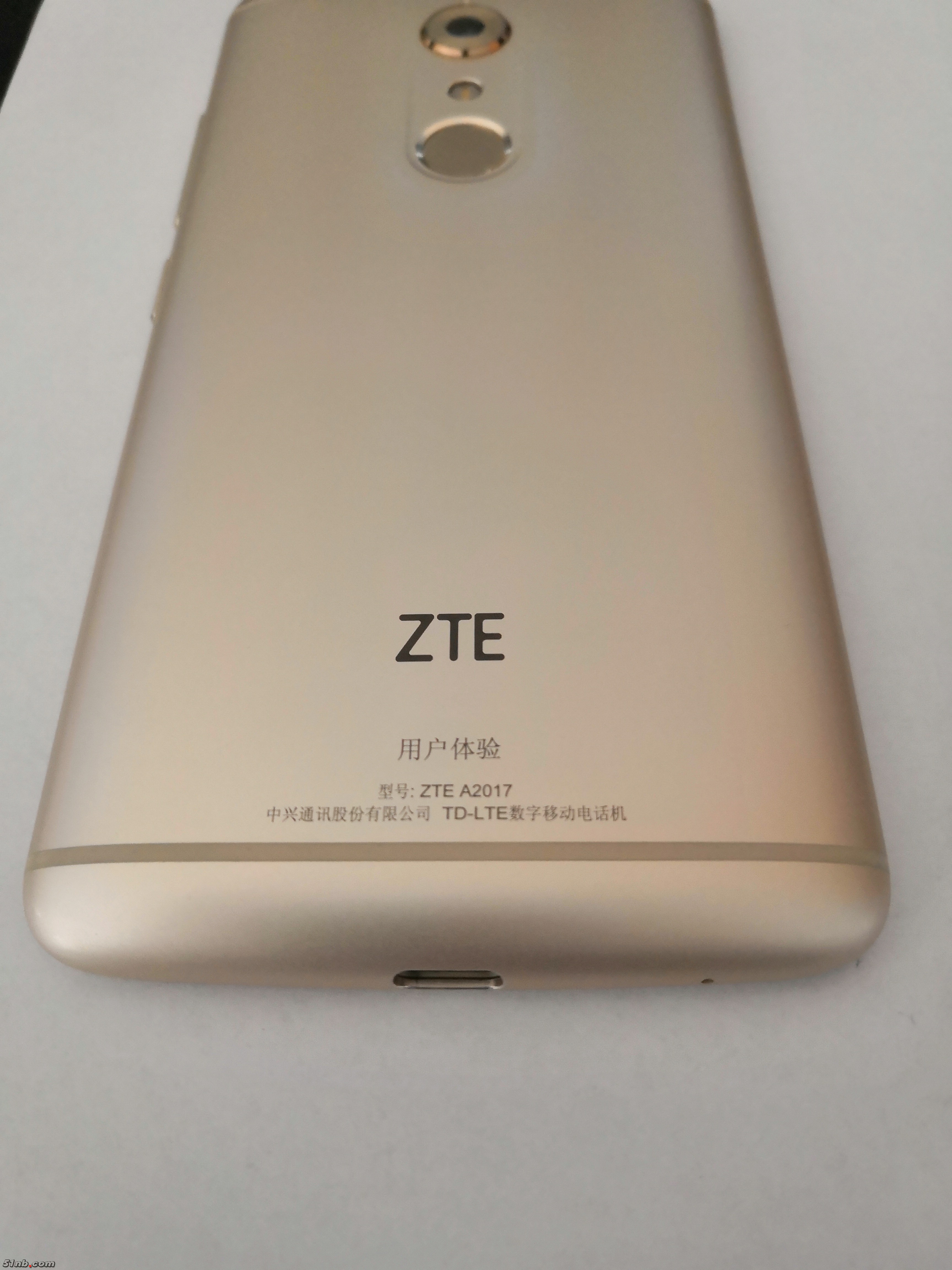 zte8.jpg