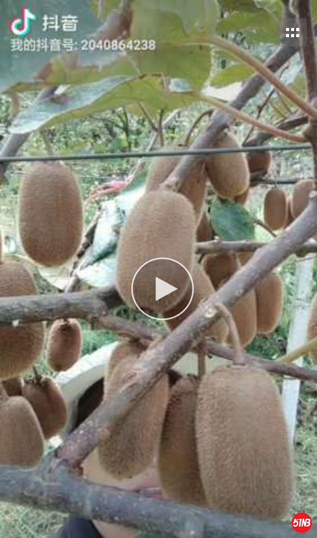 岳母还玩抖音，潮