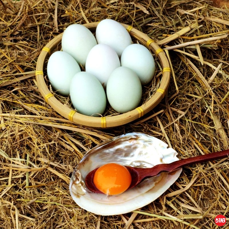 生鲜海鸭蛋.jpg
