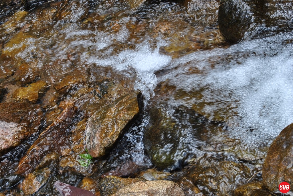 DSC_0041.JPG