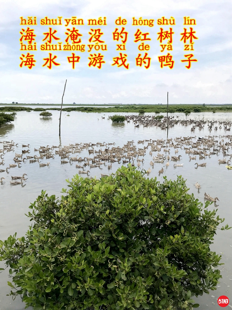 3鸭场环境-4.JPG