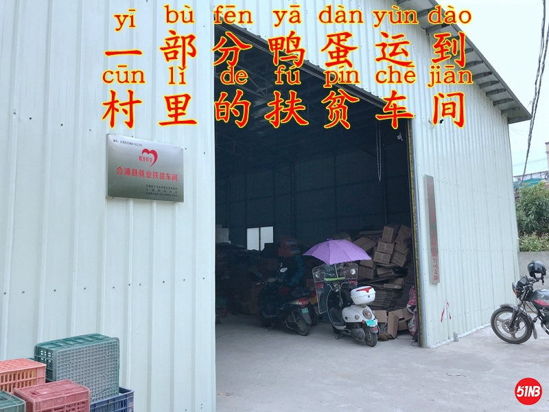 6车间分选-3.JPG