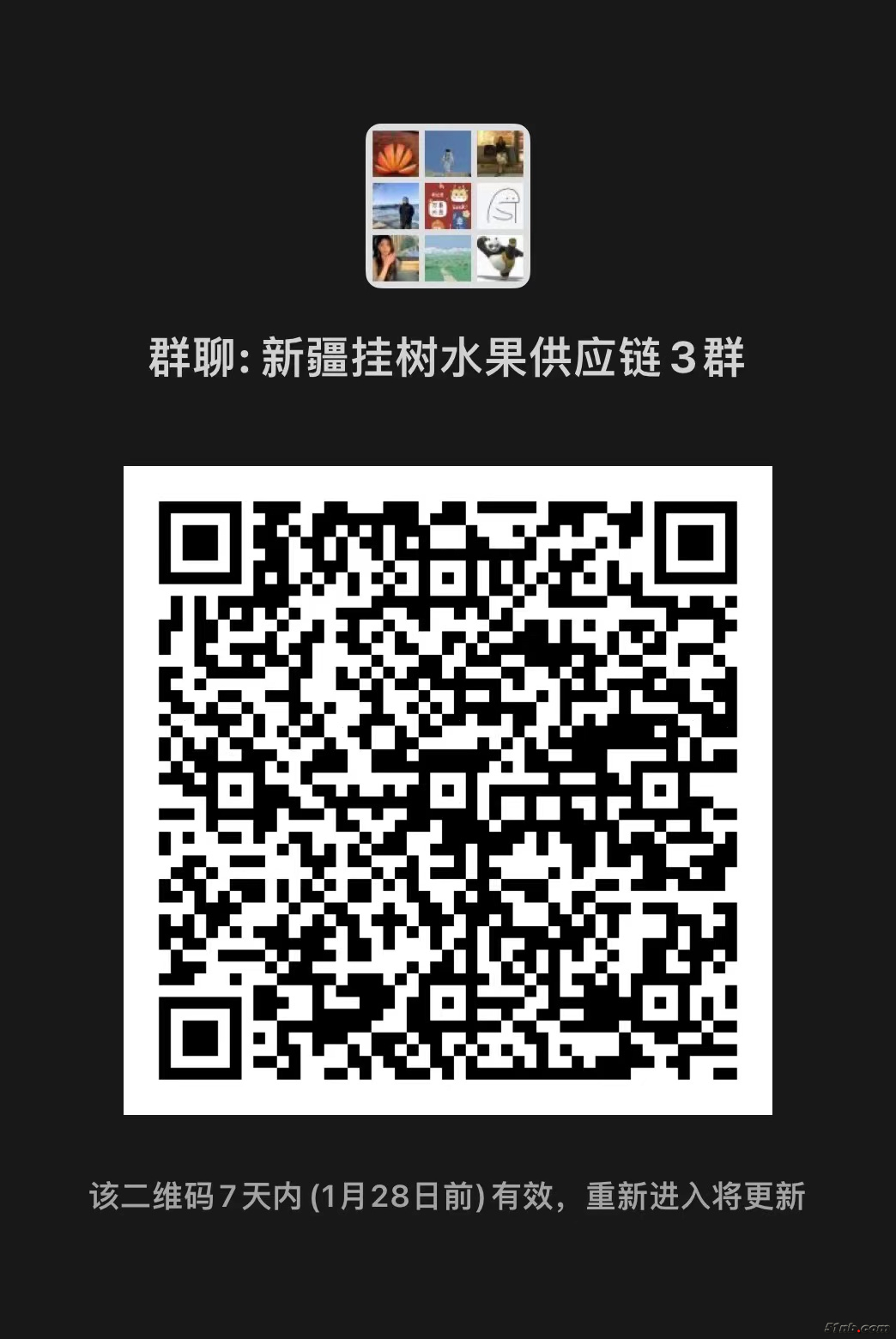 11111.jpg